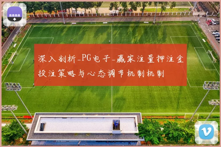 深入剖析_PG电子_赢家注量押注金投注策略与心态调节机制机制