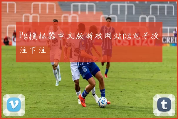 Pg模拟器中文版游戏网站pg电子投注下注