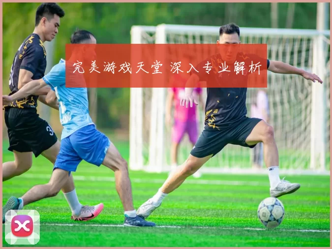 完美游戏天堂 深入专业解析