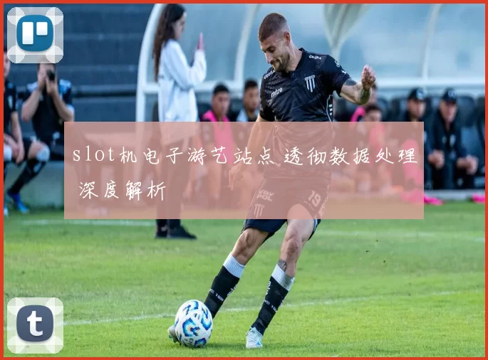 slot机电子游艺站点 透彻数据处理 深度解析