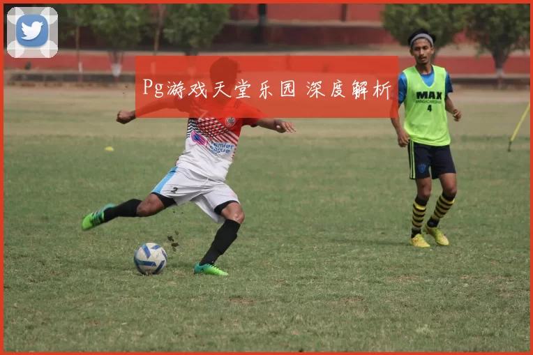 Pg游戏天堂乐园 深度解析