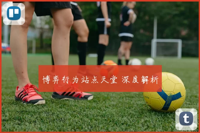 博弈行为站点天堂 深度解析