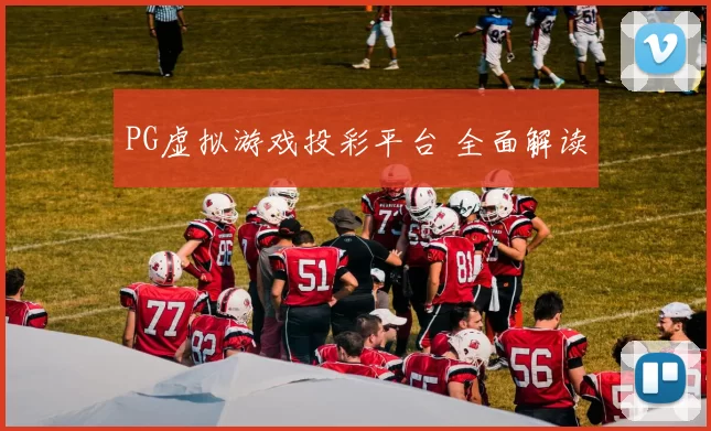 PG虚拟游戏投彩平台 全面解读