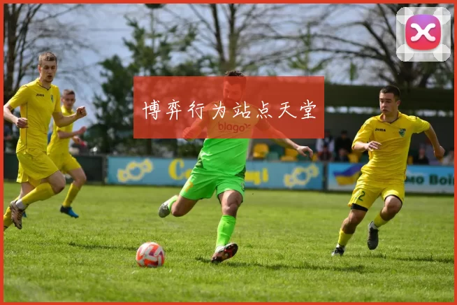 博弈行为站点天堂