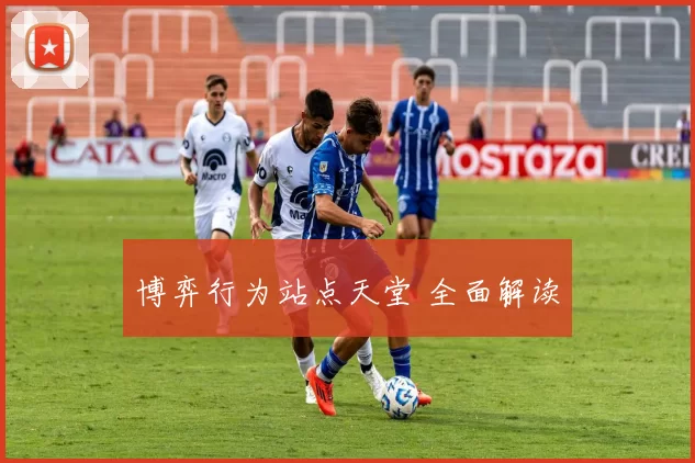 博弈行为站点天堂 全面解读